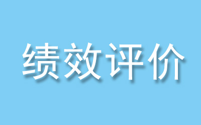 绩效评价(核查)服务